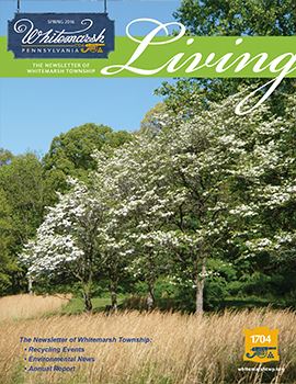 SPRING 2016 WL Cover