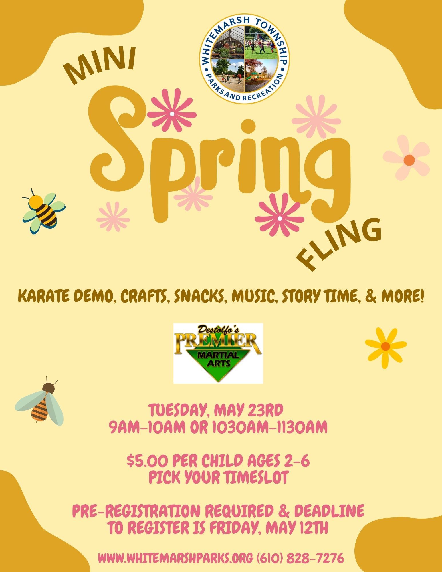2023 Mini Spring Fling Flyer